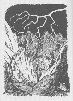 [Click to enlarge]
