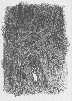 [Click to enlarge]