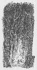 [Click to enlarge]