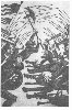 [Click to enlarge]