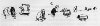 [Click to enlarge]